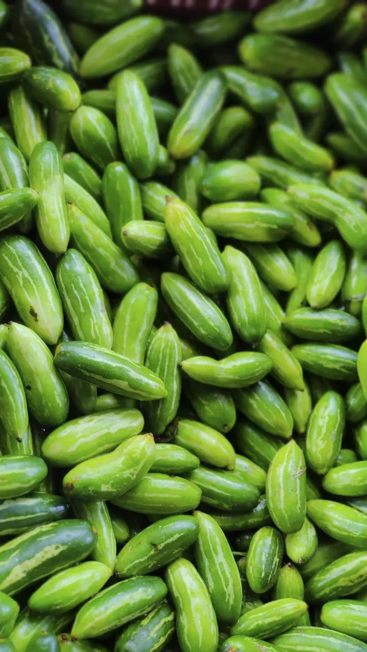 Crisp green Ivy Gourd