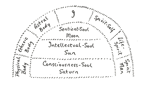 I nove corpi dell'essere umano: dove l'Io è il fulcro della metamorfosi dei tre corpi inferiori prima nelle tre anime e in seguito nei tre spiriti superiori.