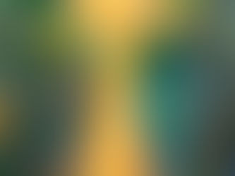 Se ci si potesse avvicinare al Sole, vi si scoprirebbe ciò che potremmo considerare uno spazio vuoto