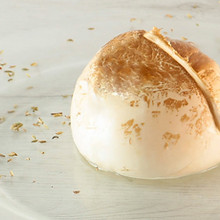 mozzarella-provola-bufala-ricotta-cacioc