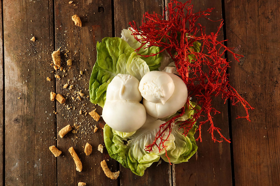 Miniatura: Scamorza Bianca 200 gr.