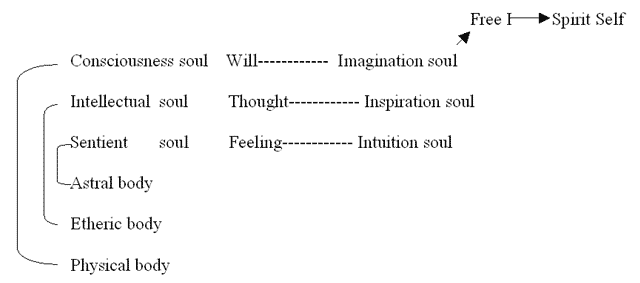 L'evoluzione del Sé Spirituale.