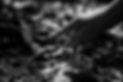 Mawoo_Imageshooting_2021_SW_28.jpg