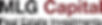MLG-Capital-Logo-600 copy