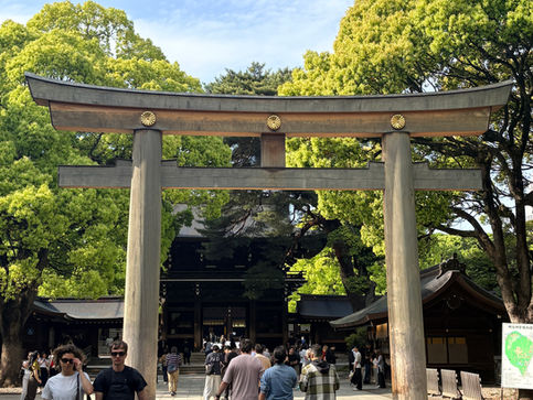 新緑の明治神宮