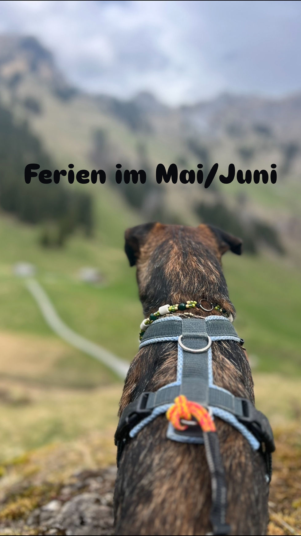 Ferien Mai/Juni