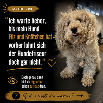 0FB1C231-9B57-4560-8EFA-A66250CBE735.png