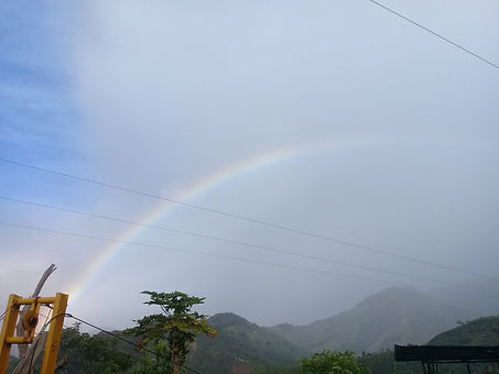 20180617_070832.jpg
