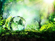 the earth on moss.jpg