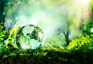 the earth on moss.jpg