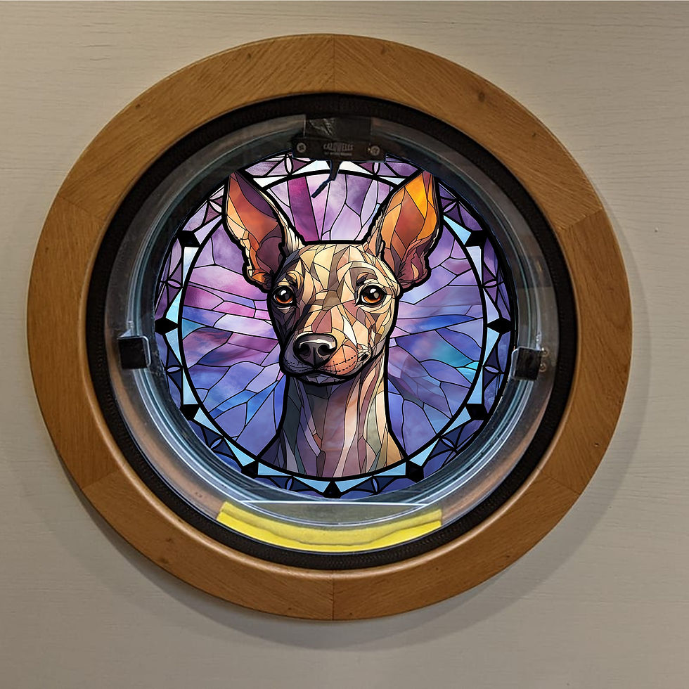 Stained Glass Cling - Dogs (American Hairless Terrier)