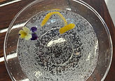 IMG_2512.jpeg