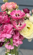 IMG_0342.jpeg