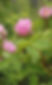 IMG_7825_edited.jpg