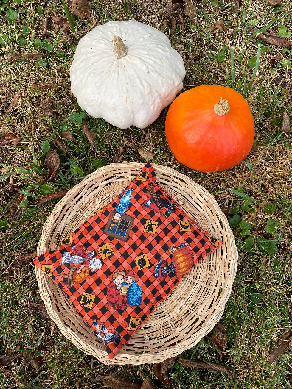 Bouillotte - Halloween