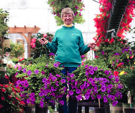 BeautifulHaging Baskets