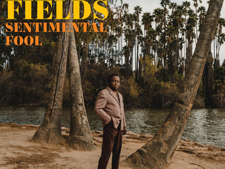MUZIEKTIP VAN DE MAAND: LEE FIELDS – SENTIMENTAL FOOL