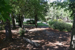 Nancy, boulevard Albert 1er