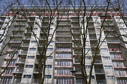 Nancy, tronçonnage du Cèdre bleu