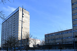 Nancy, tronçonnage du Tilleul argenté