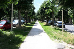 Nancy, avenue Boffrand