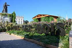 23ème jardin éphémère de Nancy : Gallé ou l'éclat de vert