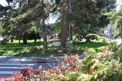 Nancy, boulevard Albert 1er