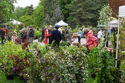 Nancy, Nature en Fêtes 2024