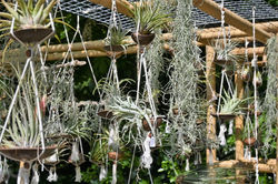 Nancy, Nature en Fête 2022