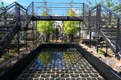 Nancy, jardin éphémère 2025, "De graines d'Art déco"