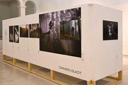 Nancy, starting-blocks NCY #2