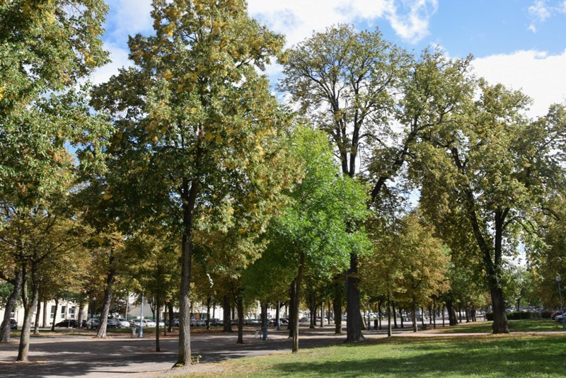 Découvrir Nancy, ses places Nancyfocus