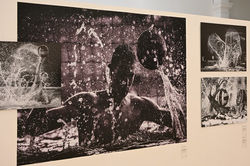 Nancy, starting-blocks NCY #2