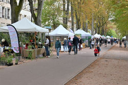 Nancy, Pépinière en Vert 2020