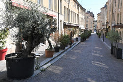 Nancy, rue des Maréchaux