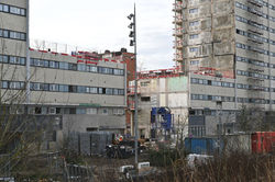 Nancy, tronçonnage du Cèdre bleu