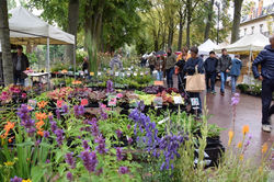 Nancy, Pépinière en Vert 2019