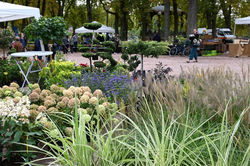 Nancy, Pépinière en Vert 2020