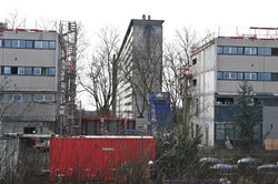 Nancy, tronçonnage du Cèdre bleu