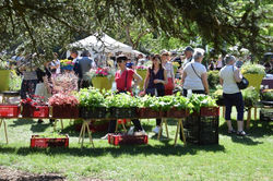 Nancy, Nature en Fête 2018