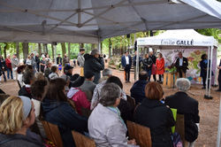 Nancy, Pépinière en Vert 2019