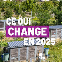plateau de haye 2025