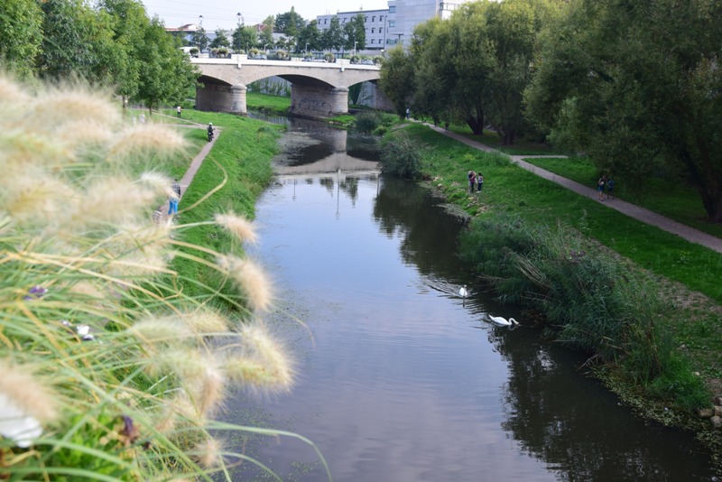 Nancy, le bras vert de la Meurthe