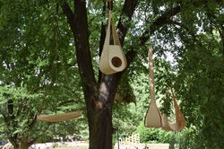 Nancy, embranchements 2017