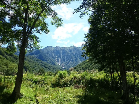 気まぐれで、山奥の温泉に一人で行ってきました。