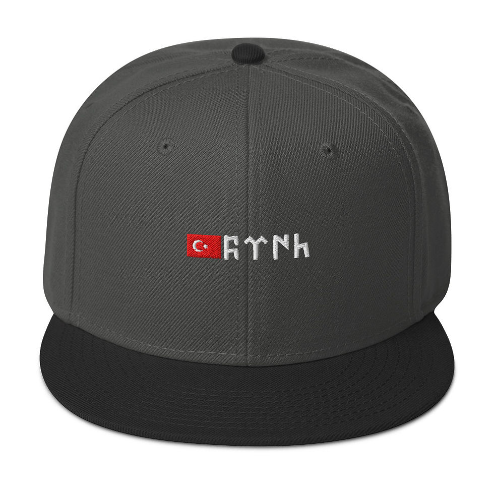 Miniaturbild: Snapback mit Türkiye Stick &Türk Stick