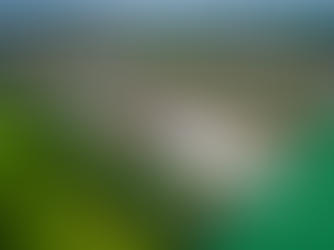 Taxable vs Non-Taxable Australian Property for Australian Expats