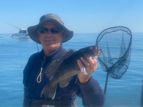 Additional Open-Boat Charter Dates for November