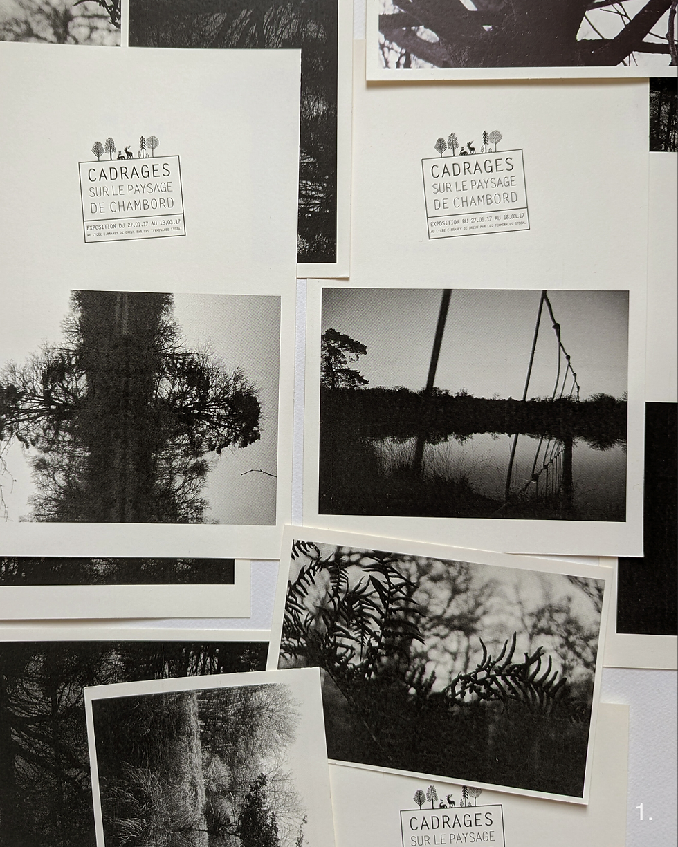 1. A la suite de ce workshop, il m'était impossible de garder pour nous ces vues en noir et blanc si singulières. Une exposition a eu lieu pour présenter les cadrages des lycéens sur le paysage de Chambord. (carton d'invitation)