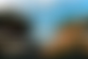 the trouble with wilderness